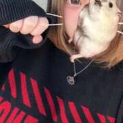 ヒメ日記 2025/11/26 16:37 投稿 はお 宮崎ちゃんこ中央通店