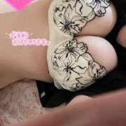 ヒメ日記 2025/11/26 18:17 投稿 はお 宮崎ちゃんこ中央通店