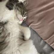 あずさ ♡5日間ありがとうございました🎀♡ 極楽城(ゴクラクジョウ)