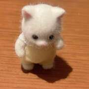 ヒメ日記 2026/01/28 19:53 投稿 かおり ∞ (はっち)