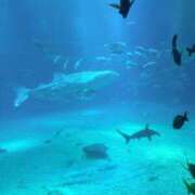 ヒメ日記 2025/11/22 09:58 投稿 すみれ 京都回春性感マッサージ倶楽部