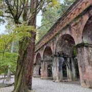 ヒメ日記 2025/11/23 08:21 投稿 すみれ 京都回春性感マッサージ倶楽部