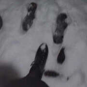 みな お久しぶりです😌 YESグループ TSUBAKI FIRST