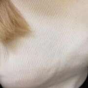 ヒメ日記 2025/11/30 13:02 投稿 そら ホワイトベル