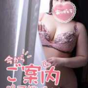 ヒメ日記 2025/11/28 17:15 投稿 葉月みおん 華女 第二章