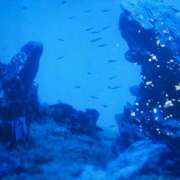 ヒメ日記 2026/02/24 19:37 投稿 みり VIVIDCREW 梅田堂山店