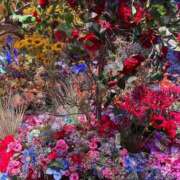 ヒメ日記 2025/11/22 17:43 投稿 ♡さつき♡ MUTEKI LAND