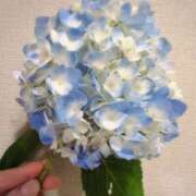 ヒメ日記 2026/06/09 07:37 投稿 るみ ハピネス東京