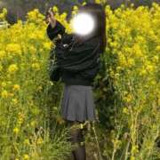 ヒメ日記 2026/04/04 13:27 投稿 来栖 あまね Canx2京都店