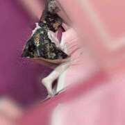 ヒメ日記 2025/11/26 14:01 投稿 さよ 水戸女学院PTA