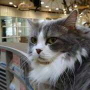 ヒメ日記 2025/11/28 21:44 投稿 りあ BABY LIPS