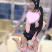 ヒメ日記 2026/02/20 23:00 投稿 Yuri THE PREMIUM （プレミアム）