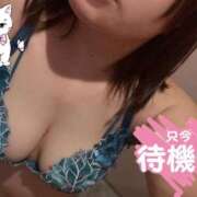 ヒメ日記 2025/12/26 02:18 投稿 むつみ 京都ホテヘル倶楽部