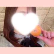 ヒメ日記 2025/12/08 18:11 投稿 アンナ 石庭