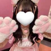 ヒメ日記 2025/11/24 13:33 投稿 しあん サティアンまーと