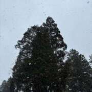 ヒメ日記 2026/01/03 20:13 投稿 みく 川越ぷよステーション