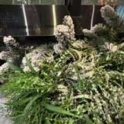 ヒメ日記 2025/12/13 21:33 投稿 みく ぷよステーション大宮店