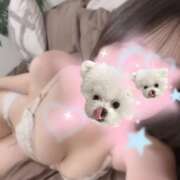 ヒメ日記 2026/09/23 11:20 投稿 矢野しずく 乳ビーナス(New Venus)