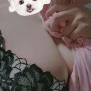 ヒメ日記 2025/12/19 22:59 投稿 柊　みおり 癒し娘診療所 水戸・ひたちなか店