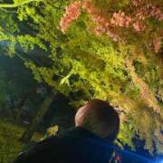 ヒメ日記 2025/12/08 00:54 投稿 てん ニューヨーカー