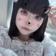 ヒメ日記 2025/11/24 14:26 投稿 こなつ Seirenes (セイレネス)