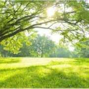 ヒメ日記 2026/01/18 21:38 投稿 のあ プロローグ-序章-浜松店