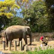 ヒメ日記 2026/04/06 06:15 投稿 らみ AVANCE福岡