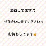 ヒメ日記 2026/03/11 11:47 投稿 ふうか clubさくら難波店