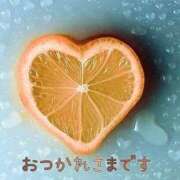 ヒメ日記 2025/12/13 11:36 投稿 戸崎なお セレブ嬉野