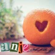 ヒメ日記 2026/01/28 09:46 投稿 戸崎なお セレブ嬉野