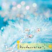 ヒメ日記 2026/01/30 06:36 投稿 戸崎なお セレブ嬉野