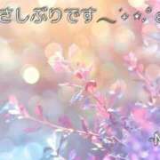 ヒメ日記 2026/05/12 11:26 投稿 戸崎なお セレブ嬉野