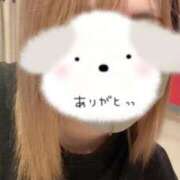ヒメ日記 2026/04/15 04:03 投稿 みみ40分6400円 回春性感メンズエステ猫の手 名古屋駅／納屋橋
