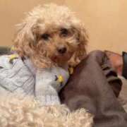 ヒメ日記 2025/11/25 14:51 投稿 くるみ G-SPOT