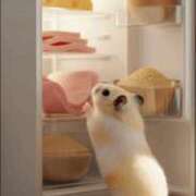 ヒメ日記 2025/12/05 11:13 投稿 くるみ G-SPOT