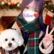 ヒメ日記 2025/12/17 22:33 投稿 ありす 大和人妻城