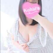 ヒメ日記 2025/12/26 11:54 投稿 こはる 丸妻 厚木店