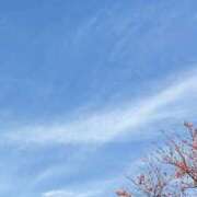 ヒメ日記 2025/11/24 15:30 投稿 えいみ 奥鉄オクテツ東京店（デリヘル市場）