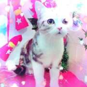 ヒメ日記 2025/12/02 20:18 投稿 紀香 モアグループ南越谷人妻花壇