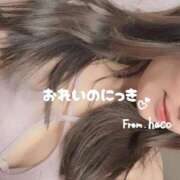 ヒメ日記 2025/12/07 19:55 投稿 はこ【業界未経験】 茨城水戸ちゃんこ