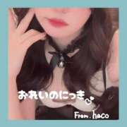 ヒメ日記 2025/12/13 21:22 投稿 はこ【業界未経験】 茨城水戸ちゃんこ