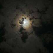 ヒメ日記 2025/12/14 22:54 投稿 はこ【業界未経験】 茨城水戸ちゃんこ