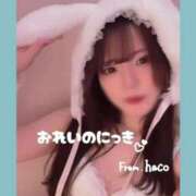 ヒメ日記 2025/12/27 14:50 投稿 はこ【業界未経験】 茨城水戸ちゃんこ