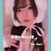 ヒメ日記 2025/12/27 15:11 投稿 はこ【業界未経験】 茨城水戸ちゃんこ