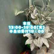 ヒメ日記 2025/12/31 11:25 投稿 はこ【業界未経験】 茨城水戸ちゃんこ