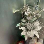 ヒメ日記 2026/01/03 15:25 投稿 はこ【業界未経験】 茨城水戸ちゃんこ