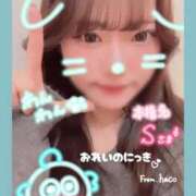 ヒメ日記 2026/01/12 23:29 投稿 はこ【業界未経験】 茨城水戸ちゃんこ