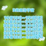 ヒメ日記 2026/03/09 14:05 投稿 はこ【業界未経験】 茨城水戸ちゃんこ