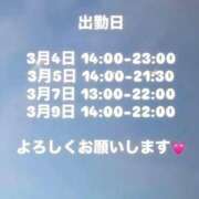 ヒメ日記 2026/03/30 20:25 投稿 はこ【業界未経験】 茨城水戸ちゃんこ