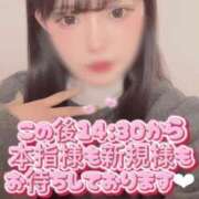 ヒメ日記 2026/04/19 12:47 投稿 はこ【業界未経験】 茨城水戸ちゃんこ